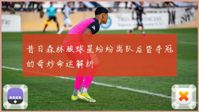 昔日森林狼球星纷纷离队后皆夺冠的奇妙命运解析